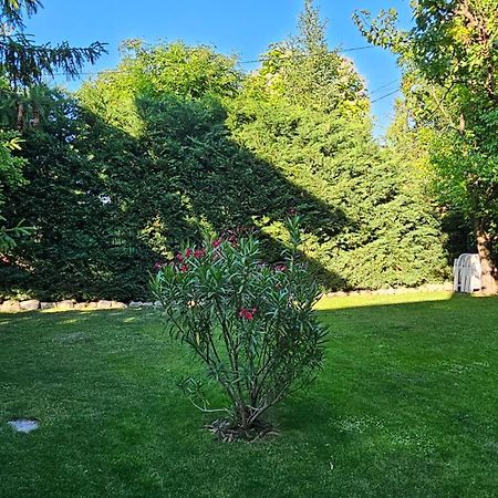 Füred Deluxe Garden Apartment Balatonfüred Buitenkant foto