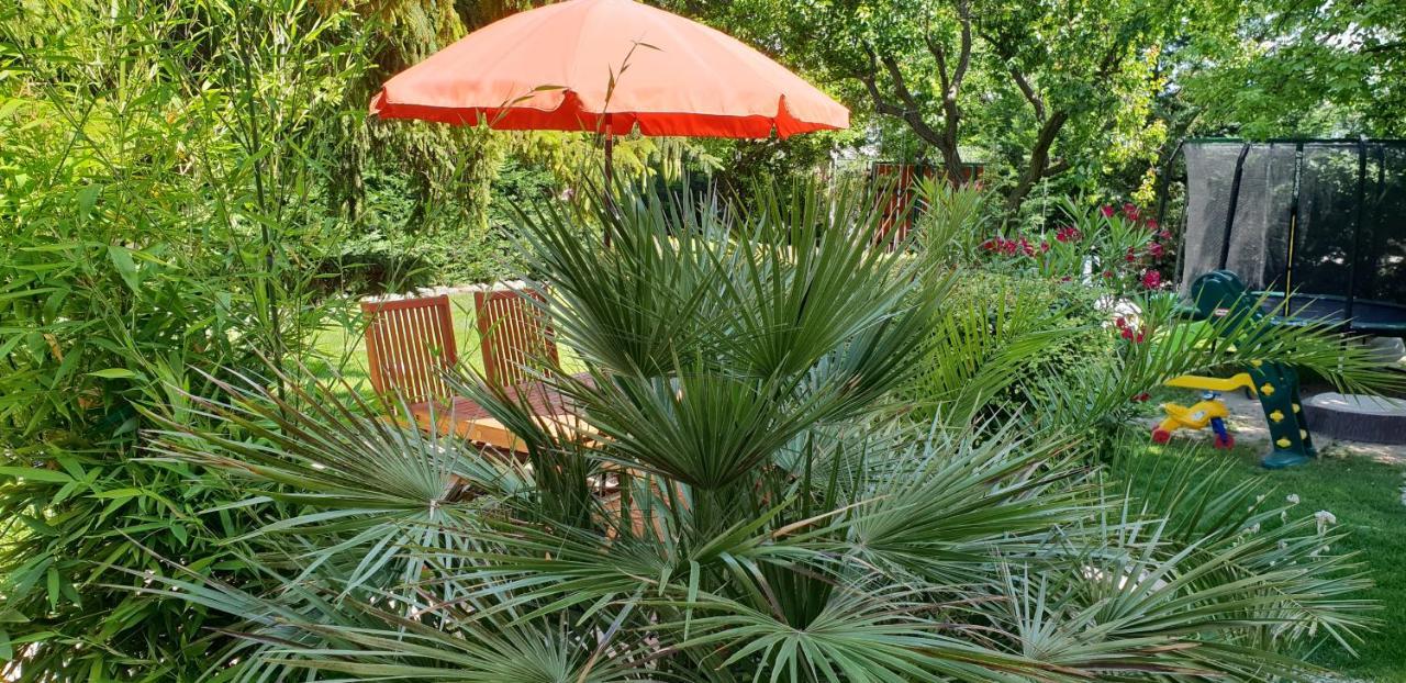 Füred Deluxe Garden Apartment Balatonfüred Buitenkant foto