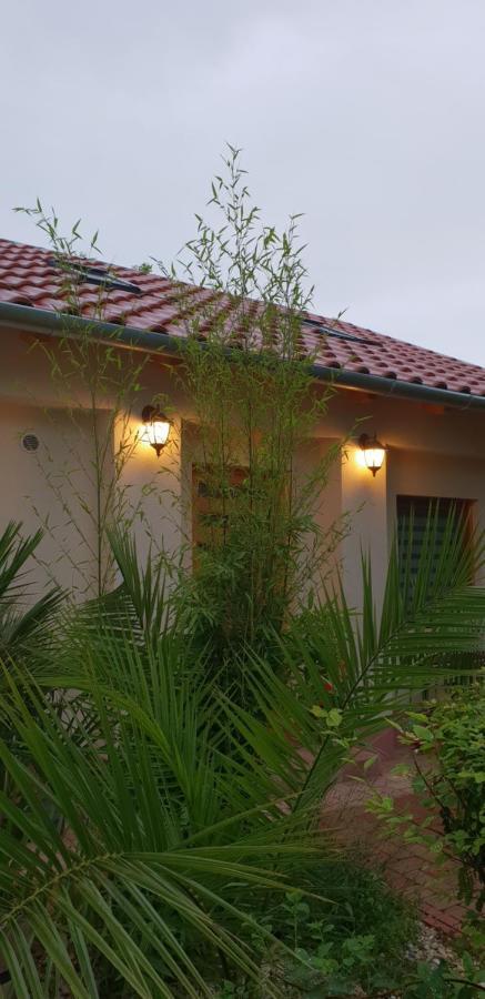 Füred Deluxe Garden Apartment Balatonfüred Buitenkant foto