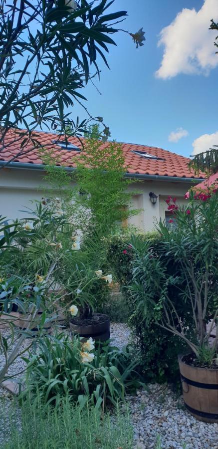 Füred Deluxe Garden Apartment Balatonfüred Buitenkant foto