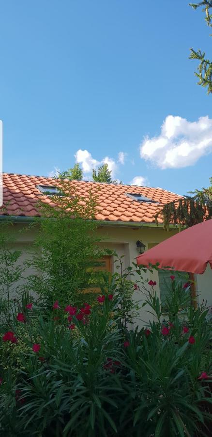Füred Deluxe Garden Apartment Balatonfüred Buitenkant foto