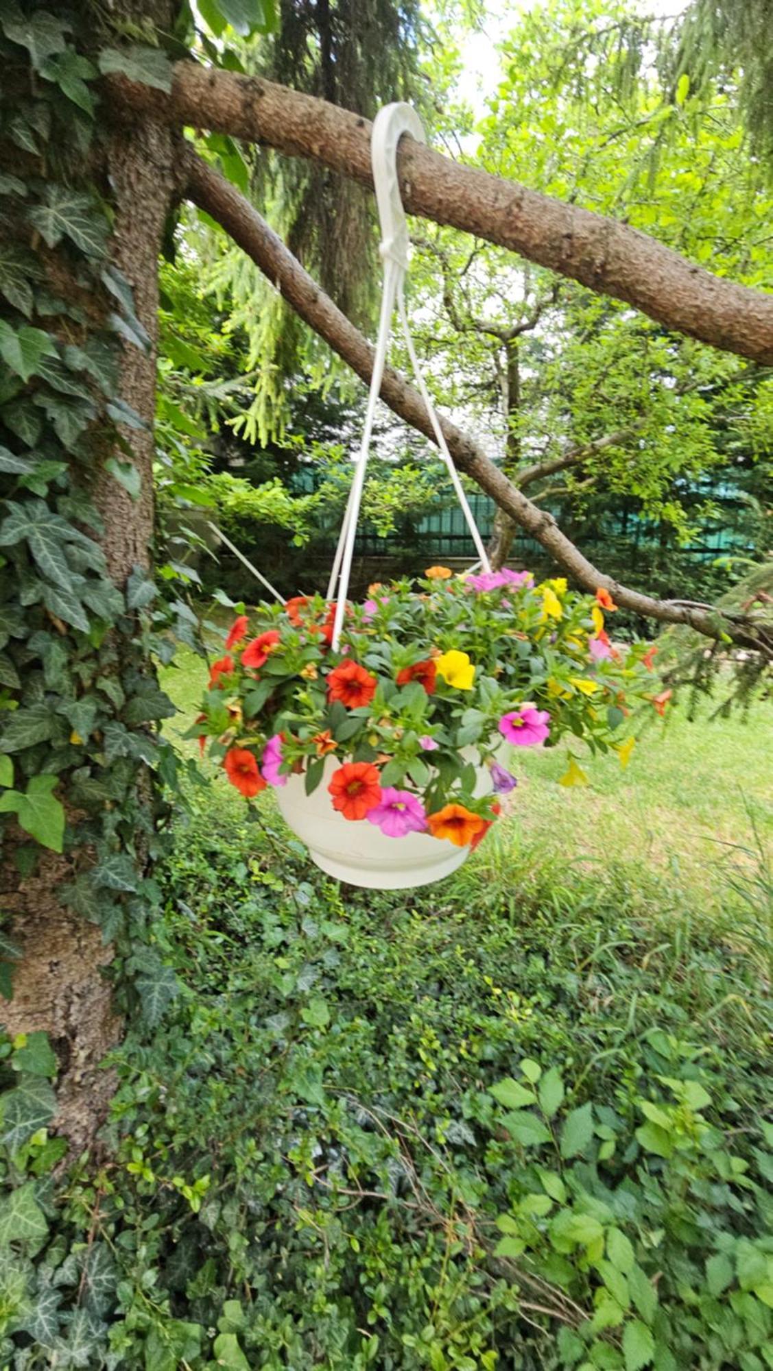 Füred Deluxe Garden Apartment Balatonfüred Buitenkant foto